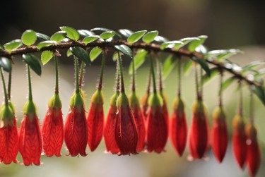 中山西区2私人快速借钱网，轻松解决资金难题