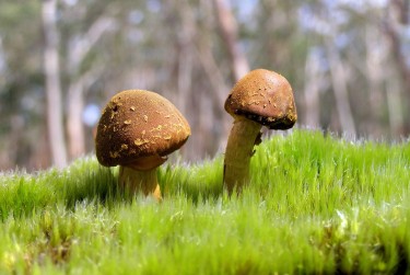 中山西区2私人老板放款：轻松融资的秘密通道